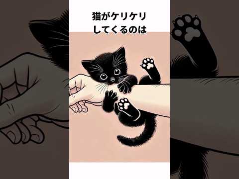 猫がケリケリしてくる時の心理雑学#shorts  #雑学