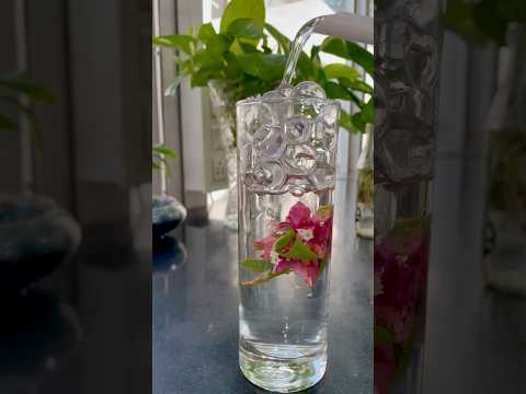 DIY Flowers Decoration in Water #flowerdecoration #plantsdecor #homedecor #houseplants #diy #flowers