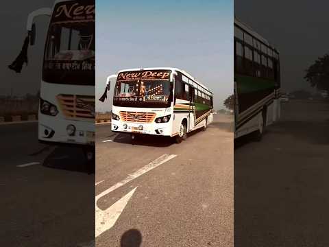 new deep travels 🥀🥀 amritsar to bathinda 🥀🥀 amazing bus shorts 🥀🥀 buses of bathinda 🥀🥀#trending #bus