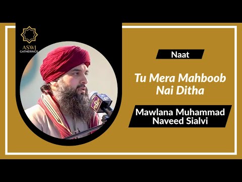 Tu Mera Mahboob Nai Ditha | Mawlana Muhammad Naveed Sialvi [English Translation]