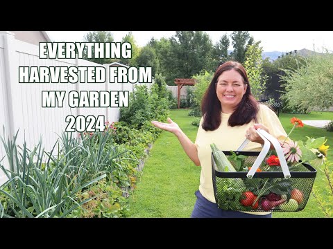 Everything I Have Harvested From My Garden In 2024!