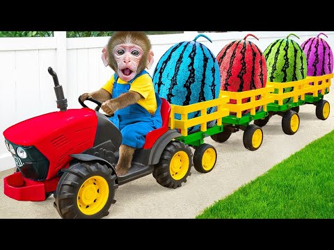 KiKi Monkey drive truck to harvest Colorful Watermelon on the farm with friends | KUDO ANIMAL KIKI