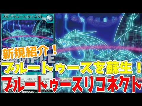 【ラッシュデュエル】新規紹介！ブルートゥースリコネクト！碧牙の爆速竜を蘇生できる魔法カード！！！【遊戯王】