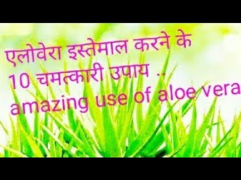 एलोवेरा इस्तेमाल करने के 10 चमत्कारी उपाय ..amazing use of aloe vera, aloe vera