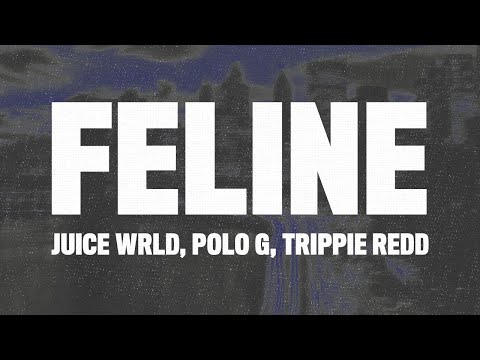 Juice WRLD - Feline (Lyrics) ft. Polo G & Trippie Redd