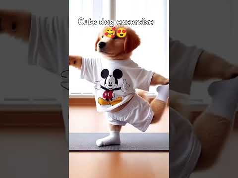 Cute dog 🐕 excercise