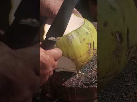 very fantastic coconut cutting ASMR #satisfying #coconutcutting #streetfood #youtubeshorts #Gatchie