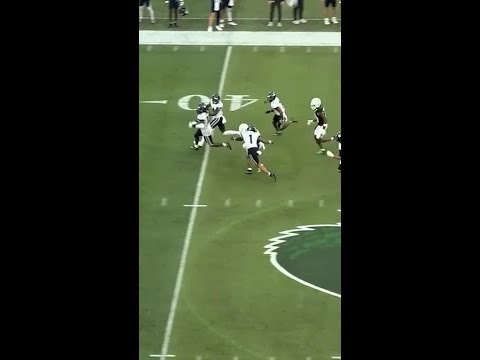 Amare Thomas with a spectacular catch for a 36-yard Gain vs. Uconn