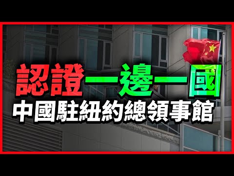 中國駐紐約總領事館認證：一邊一國！把中華民國台灣國旗帶進聯合國安理會！