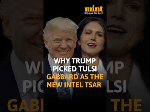 Why #donaldtrump Picked #tulsigabbard As The New Intel Tsar | Watch