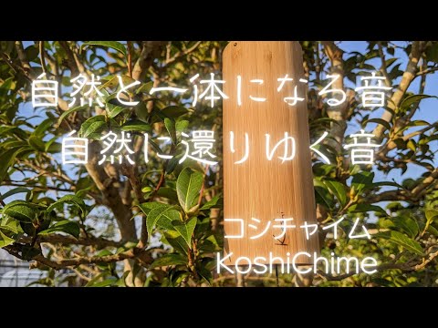 【コシチャイム　KoshiChime】テラ　忘れかけていたものが戻っていきます　自然と一体になる音　自然に還りゆく音