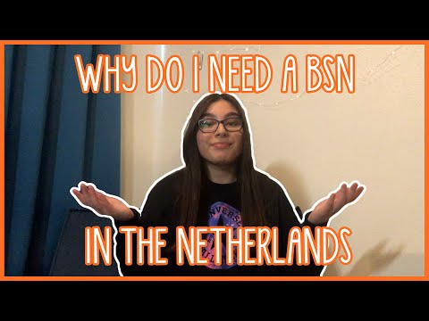 WHAT IS A BSN AND WHY DO YOU NEED IT AS AN INTERNATIONAL STUDENT?