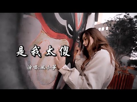 风小筝 《是我太傻》 【动态歌词 Lyrics】 「时光一晃又一个冬天，我们还是各奔了天涯，你松开我的手再没有回头」