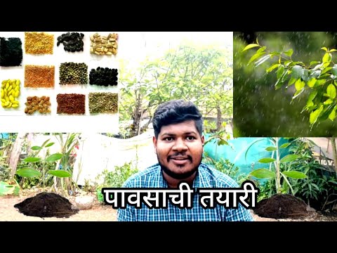 Home Garden Tour माझ्या बागेत माडली झाडे बघुया आणि  पावसाची तयारी चला बिया लावुया