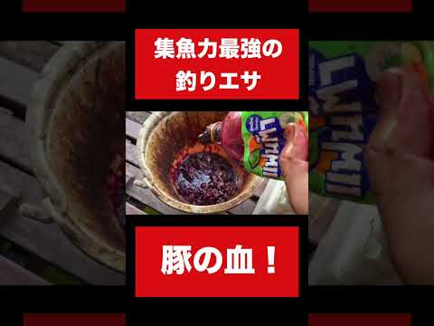 内臓と豚の血を池に放り込むと…