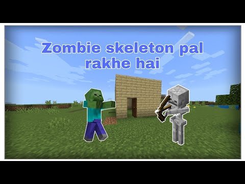 Skeleton zombie ne parishan kar rakha hai #shorts #minecraftshorts #minecraftgame #gamingminecraft