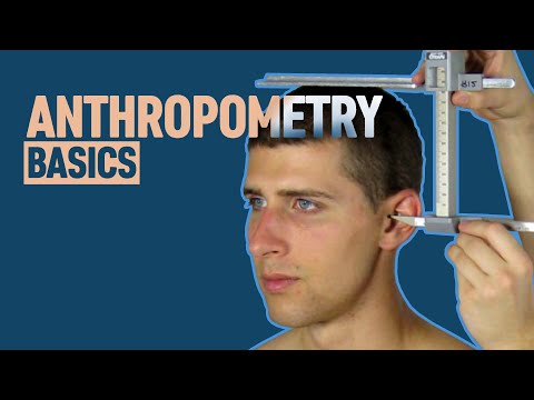 Anthropometry Basics for 3d Artists