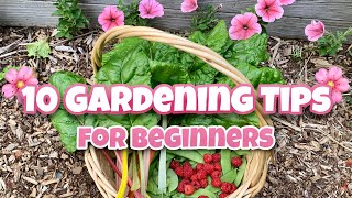 10 Beginner Gardening Tips - Gardening for Beginners, Garden #Stayhome #Withme