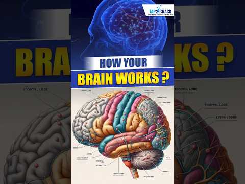 How Your Brain Works By Swati Mam #brain #brainpower