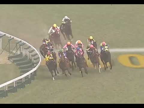 ラインクラフト 2006年 第49回サンケイスポーツ杯 阪神牝馬ステークス(GII) (優勝馬：ラインクラフト) (実況：ラジオNIKKEI)