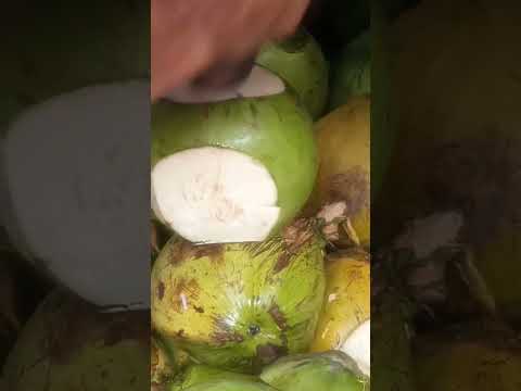 the best coconut cutting skills Asmr #cuttingskills #streetfood #youtubeshorts @GatchieJr33