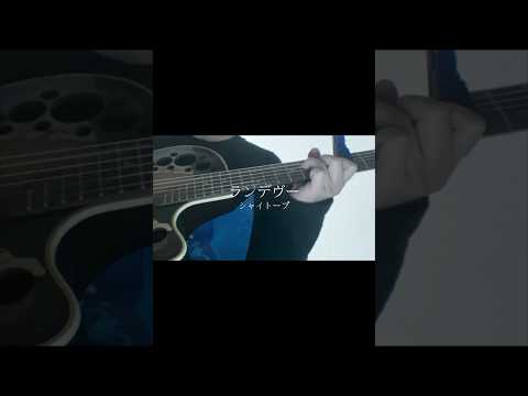 ランデヴー / シャイトープ #弾き語り #歌ってみた #cover  #ランデヴー #シャイトープ