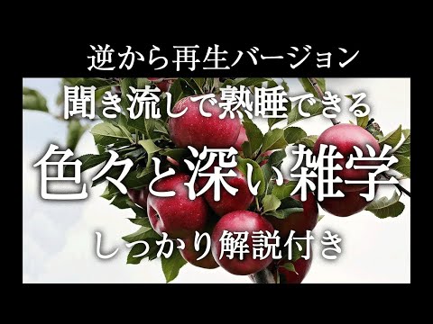 【逆から再生】色々と深い雑学【睡眠導入】しっかり解説付き♪