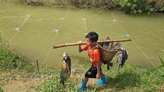 Fishing trap setting skills fish to harvest 20 kg of stream fish sale highland boy khai fishing ❤️❤️