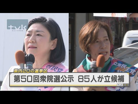 衆院選きょう公示 最多タイの85人立候補する中 17区は