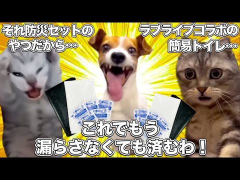 ラブライブの簡易トイレ【猫ミーム】 #猫マニ #猫ミーム