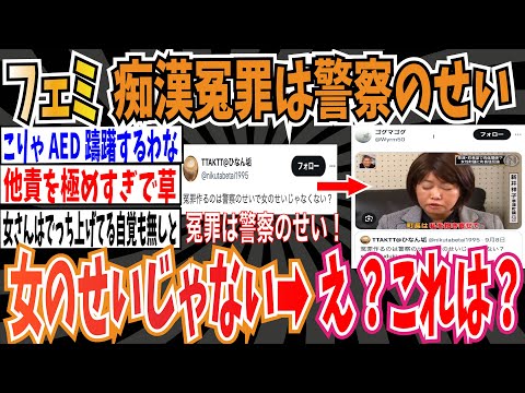 【ツイフェミ】フェミさん「痴漢冤罪を作るのは警察のせい。女のせいじゃない」➡︎え？これは？【ゆっくり 時事ネタ ニュース】