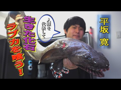 【深海魚】生きた化石！幻のサメ『ラブカ』をさばいて食べてみた【料理】 How to cook FRILLED SHARK!!