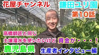 【花屋チャンネル】高橋師匠と同じ土壌灌水を使いたいけど⁉️生産者インタビュー‼️鹿児島県の百合農家‼️鎌田洋平さんの開業話#鎌田ユリ園#百合農家#オリエンタル#百合#鹿児島#鎌田洋平#生産者#ユリ