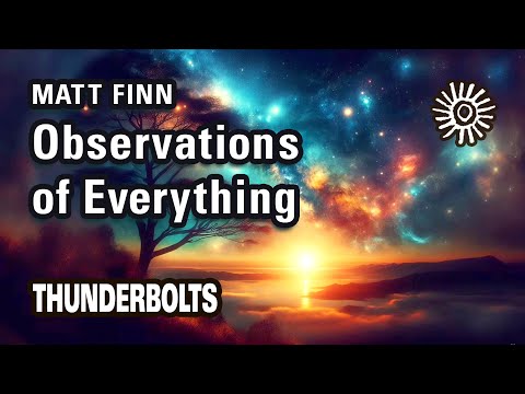 Matt Finn: Observations of Everything | Thunderbolts