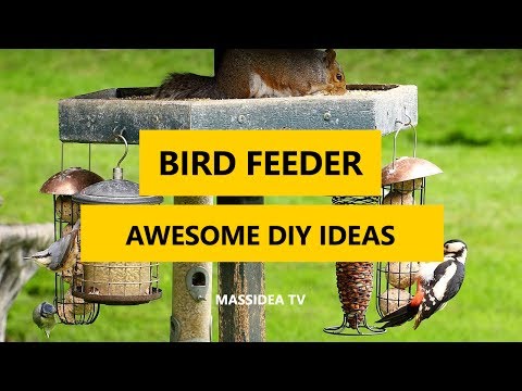 45+ Awesome Bird Feeder DIY Ideas in The Worlds 2017