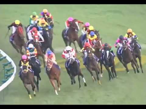 ラインクラフト 2004年 第56回阪神ジュベナイルフィリーズ(GI)  (優勝馬：ショウナンパントル) (実況：ラジオNIKKEI)