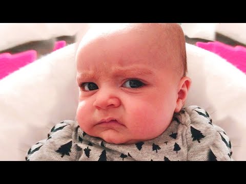 Hilarious Baby Moments That Will Make Your Day - Funny Baby Videos