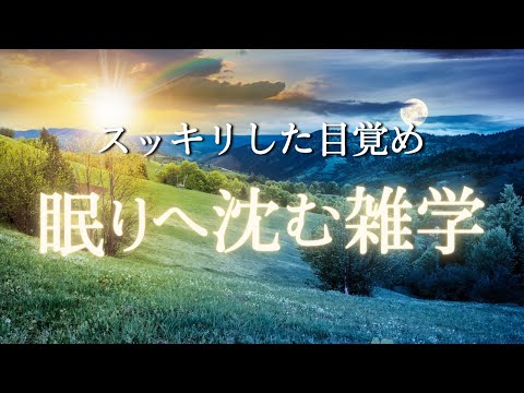 穏やかな声で浄化回復しながら眠る睡眠用雑学 | ストレス緩和とリラックス |