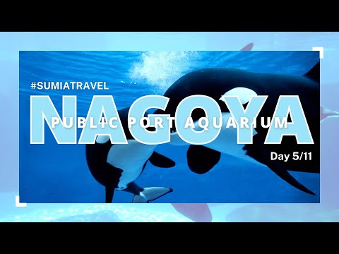 #SUMIATOUR NAGOYA 2023 DAY 1 (NAGOYA PORT PUBLIC AQUARIUM)