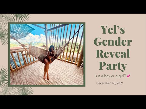 Yelly’s Gender Reveal Celebration