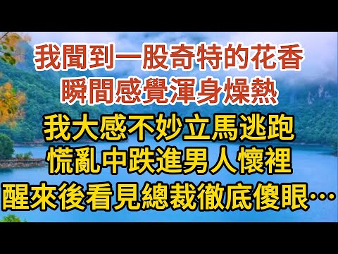 《BB被搶後》第02集：我聞到一股奇特的花香，瞬間感覺渾身燥熱，我大感不妙立馬逃跑，慌亂中跌進男人懷裡，醒來後看見總裁徹底傻眼……#婚姻#情感故事#甜寵#故事#小說#霸總