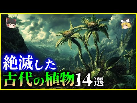 【ゆっくり解説】現代では想像もつかない…絶滅した「古代の植物」14選を解説/ロマンをつなぐツタンカーメンのエンドウ豆とスヴァールバル世界種子貯蔵庫