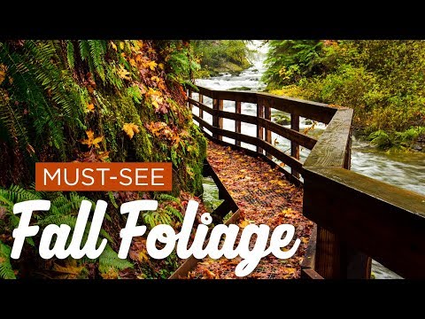 Most Underrated Places for Fall Foliage in America