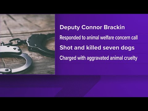 Former McNairy County deputy charged with animal cruelty after killing 7 dogs during welfare call