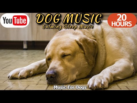 20 HOURS of Dog Calming Music🐶🎵Separation Anxiety Relief Music🐶💖Dog Stress Relief Music⭐Healingmate