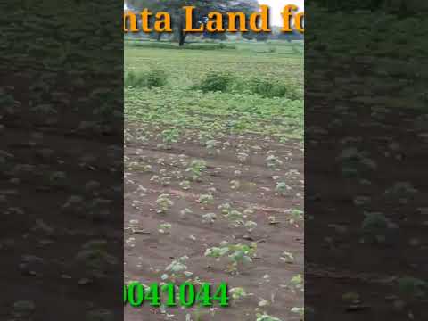 NH65 2 #lacks #gunta #landforsale #farmhouse #guesthouse #agriculture #telangana #farming 9640041044