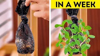 🧑‍🌾🌱 Garden Hacks 101! Simple Tips to Unlock your Inner Gardener