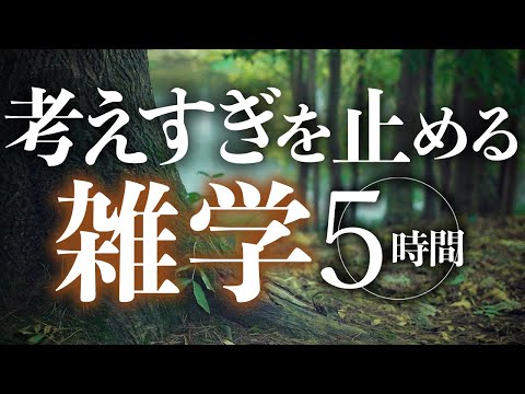 【睡眠導入】考えすぎを止める雑学5時間【合成音声】