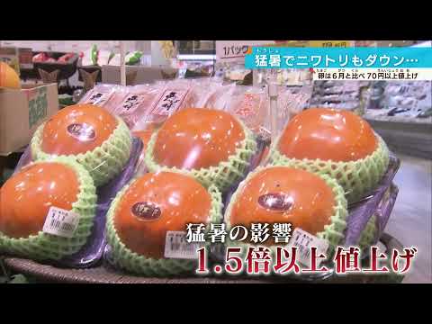 【じわじわ家計に】野菜・卵の高騰続く…秋の味覚も値段が1.5倍に