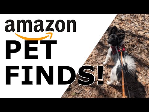 Amazon Pet Finds!